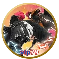 vip79