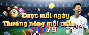 vip79